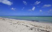 Туры в отель New Point Miami