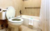 Туры в отель Budget Host Inn
