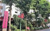 Туры в отель Diamond Hotel