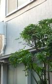 Туры в отель Hotel Meigetsu