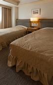 Туры в отель Hotel Siena