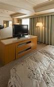 Туры в отель Hotel Siena