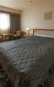 Туры в отель Hotel Siena