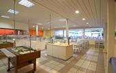 Туры в отель Iro Hotel