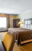 Туры в отель Quality Inn & Suites Bell Gardens - Los Angeles
