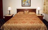 Туры в отель Metro Plaza Hotel