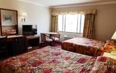 Туры в отель Metro Plaza Hotel