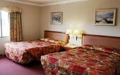 Туры в отель Metro Plaza Hotel