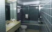 Туры в отель Metro Plaza Hotel