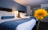 Туры в отель Regency Inn Los Angeles