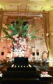 Туры в отель Windsor Arms Hotel