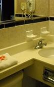 Туры в отель Red Carpet Inn & Suites