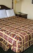 Туры в отель Red Carpet Inn & Suites