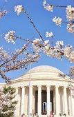 Туры в отель Le Meridien Washington, D.C., The Madison