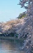 Туры в отель Le Meridien Washington, D.C., The Madison