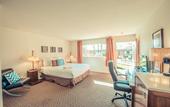Туры в отель The Skylark a Palm Springs Hotel