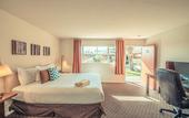 Туры в отель The Skylark a Palm Springs Hotel