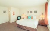 Туры в отель The Skylark a Palm Springs Hotel
