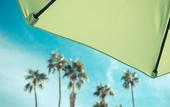 Туры в отель The Skylark a Palm Springs Hotel