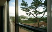 Туры в отель Jeju Bom Stay & Art Gallery