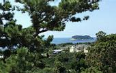 Туры в отель Jeju Bom Stay & Art Gallery