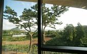 Туры в отель Jeju Bom Stay & Art Gallery