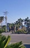 Туры в отель Familia Hotel Jeju