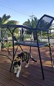 Туры в отель Familia Hotel Jeju