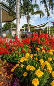 Туры в отель Discovery Parks - Melbourne