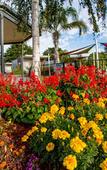 Туры в отель Discovery Parks - Melbourne