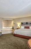 Туры в отель Radisson Hotel Montreal Airport