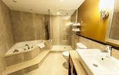 Туры в отель Radisson Hotel Montreal Airport