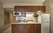 Туры в отель Radisson Hotel Montreal Airport