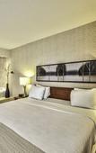 Туры в отель Radisson Hotel Montreal Airport