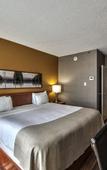 Туры в отель Radisson Hotel Montreal Airport