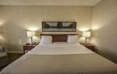 Туры в отель Radisson Hotel Montreal Airport