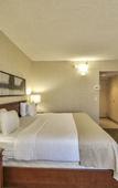 Туры в отель Radisson Hotel Montreal Airport