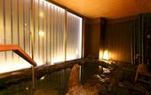 Туры в отель Dormy Inn Hakata Gion Natural Hot Spring