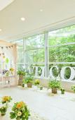 Туры в отель Hilton Fukuoka Sea Hawk