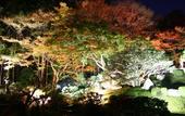 Туры в отель Biwako Ryokusuitei