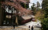 Туры в отель Biwako Ryokusuitei