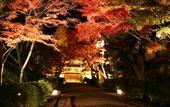 Туры в отель Biwako Ryokusuitei