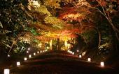 Туры в отель Biwako Ryokusuitei