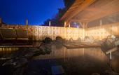 Туры в отель Biwako Ryokusuitei