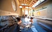 Туры в отель Biwako Ryokusuitei