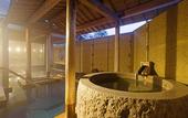 Туры в отель Biwako Ryokusuitei