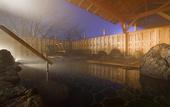 Туры в отель Biwako Ryokusuitei
