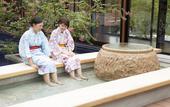 Туры в отель Biwako Ryokusuitei