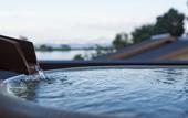 Туры в отель Biwako Ryokusuitei