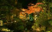 Туры в отель Kyoto Nanzenji Garden Ryokan Yachiyo Established in 1915